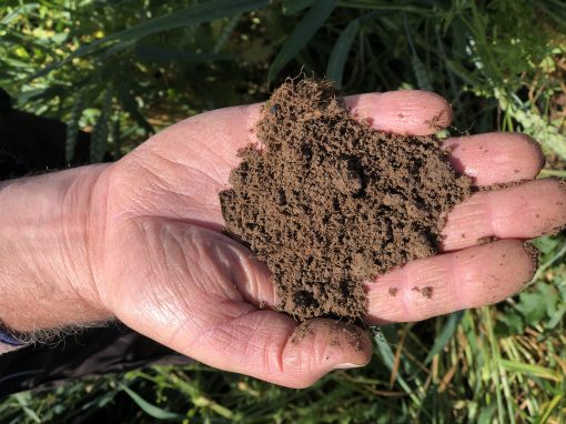Mehr Humus braucht das Land Mehr Humus braucht das Land