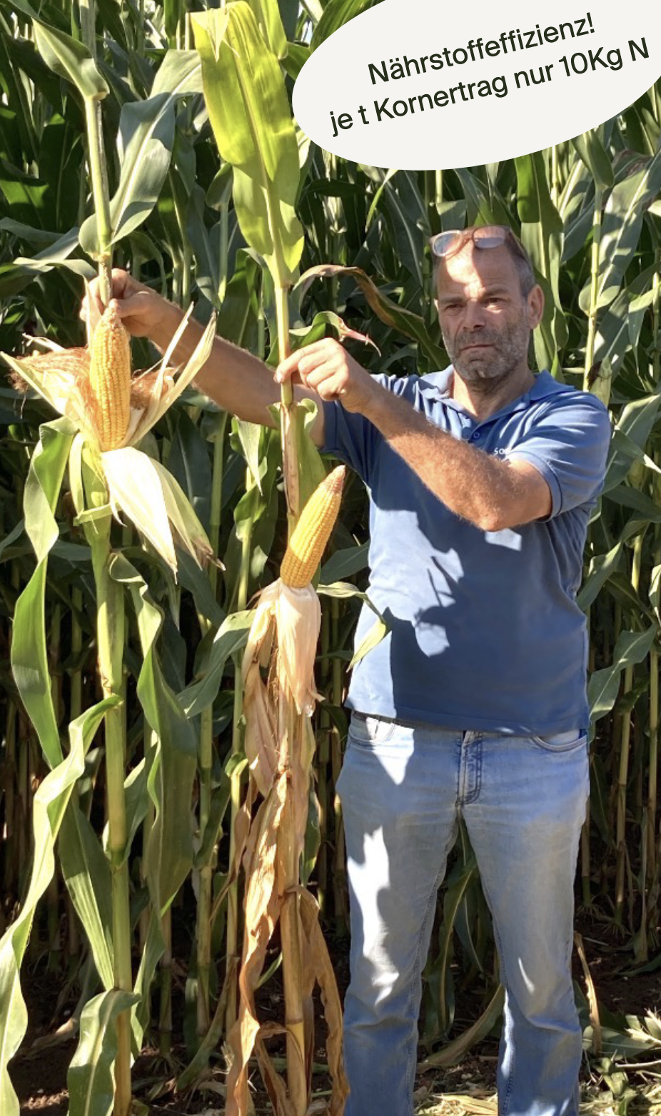 Nährstoffeffizienz Mais Alois Huschle regenerativer Landwirt