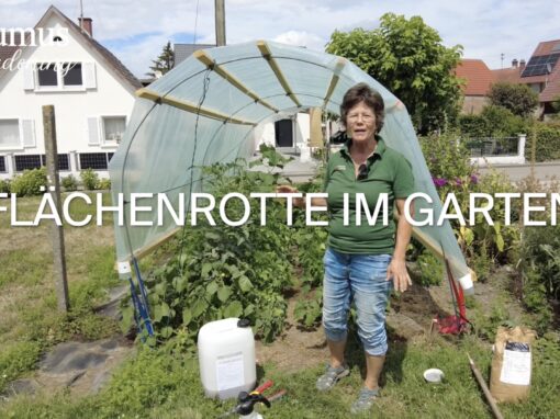 Flächenrotte im Garten Flächenrotte im Garten
